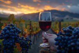 Vinhos